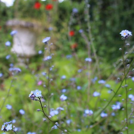 Le Gite Du Chene Rouvre Corbeil-Cerf Εξωτερικό φωτογραφία