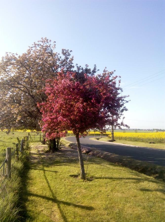 Le Gite Du Chene Rouvre Corbeil-Cerf Εξωτερικό φωτογραφία
