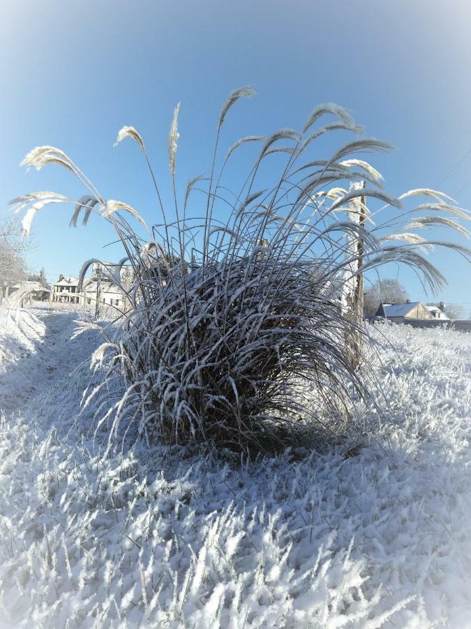 Le Gite Du Chene Rouvre Corbeil-Cerf Εξωτερικό φωτογραφία